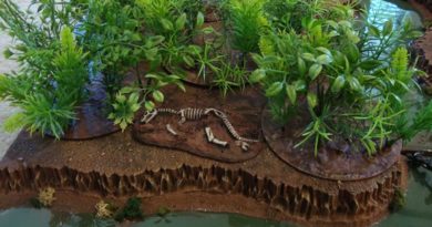 Aquarium plants have been added to CD bases with a painted dinosaur skeleton and green river water